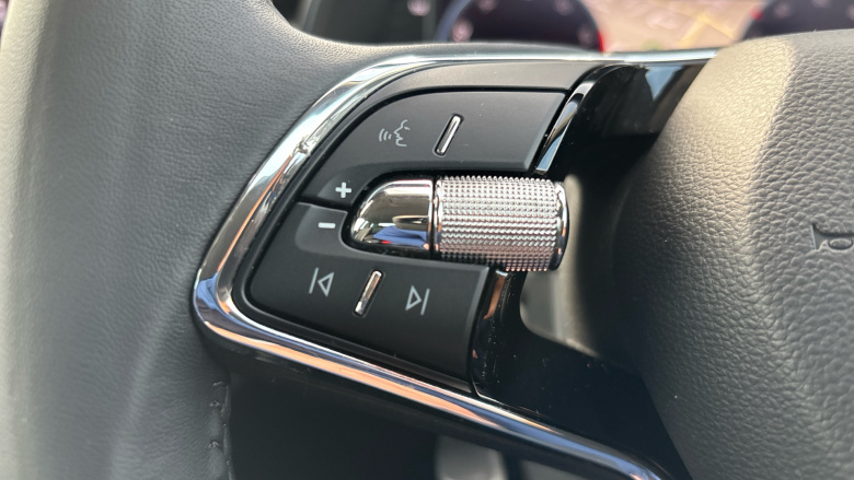 Skoda Kamiq 1.0 TSI 110 SE L Executive 5dr DSG Petrol Hatchback